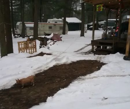 Spirit of the North Campground