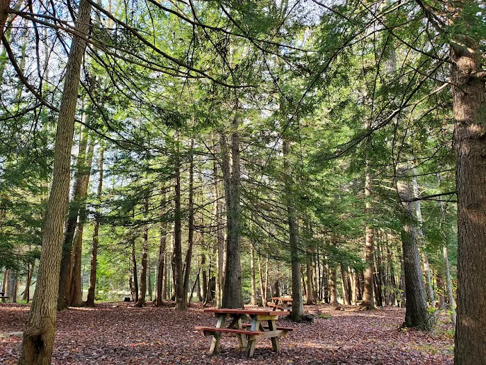 White's Haven Campground Picture 9