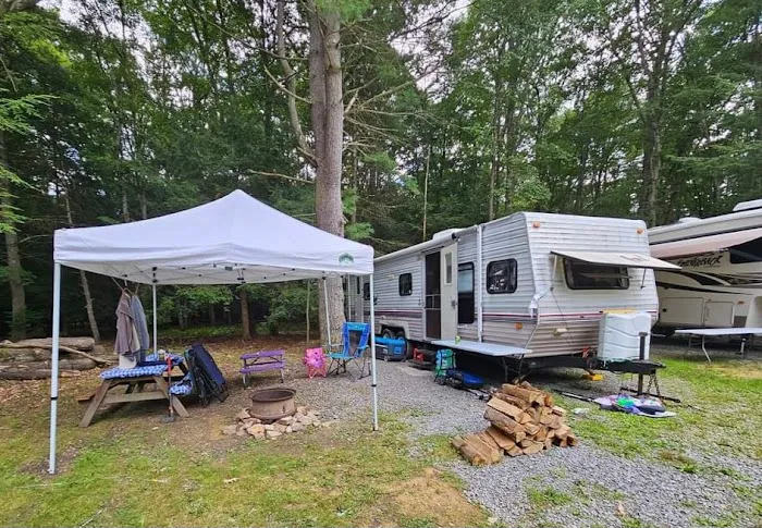 Colors of the Forest RV Resort and Campground Picture 10