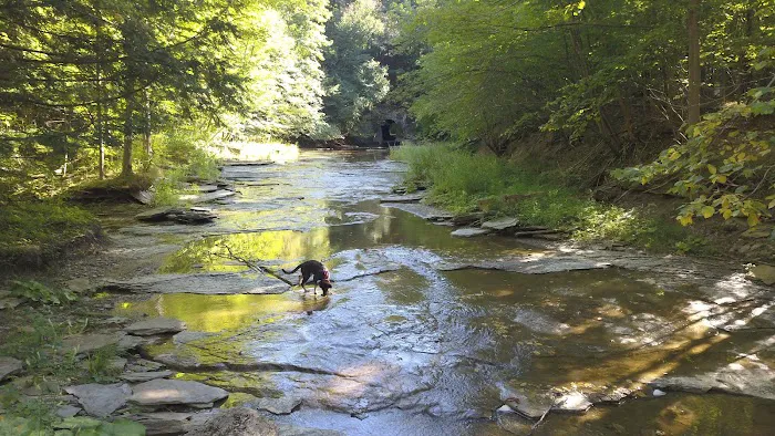 Eriegrove Picture 2