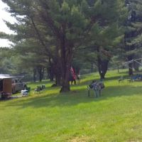 Hickory Creek Wilderness Ranch ico