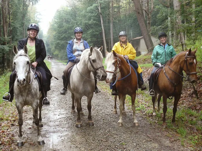 Hickory Creek Wilderness Ranch Picture 3