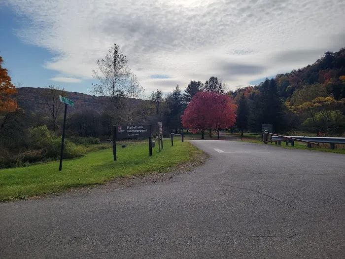 Kellettville Recreation Area Campground Picture 6