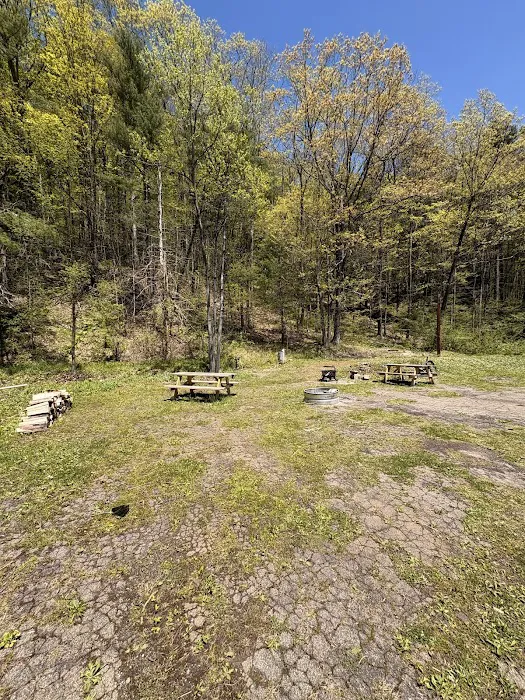 Old School Campground Picture 7