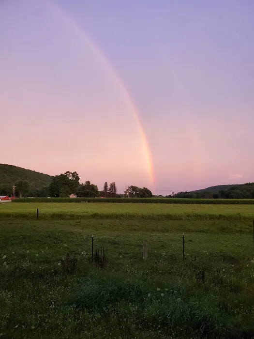 Brokenstraw Valley Campsites Picture 6