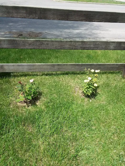 Country Estates Picture 8