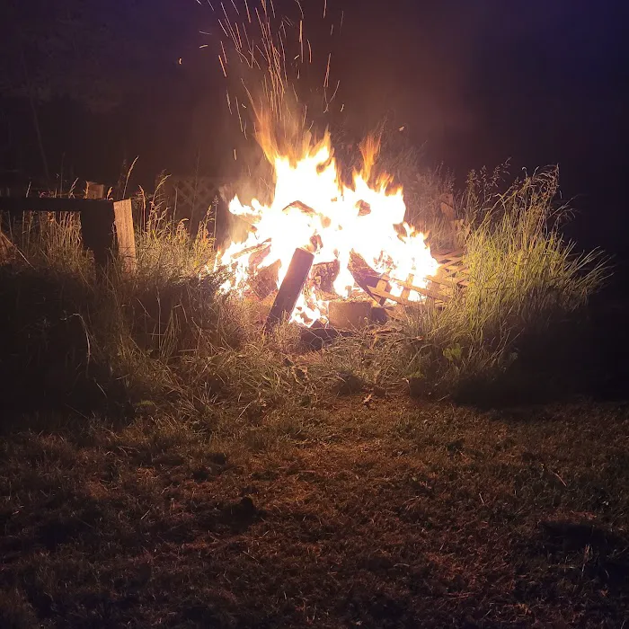 Phoenix Nest Picture 5