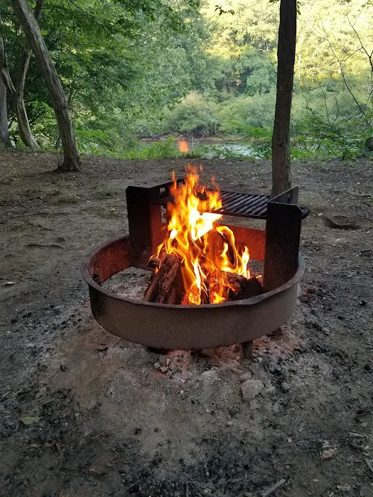 Outflow Recreation Area Campground Picture 1