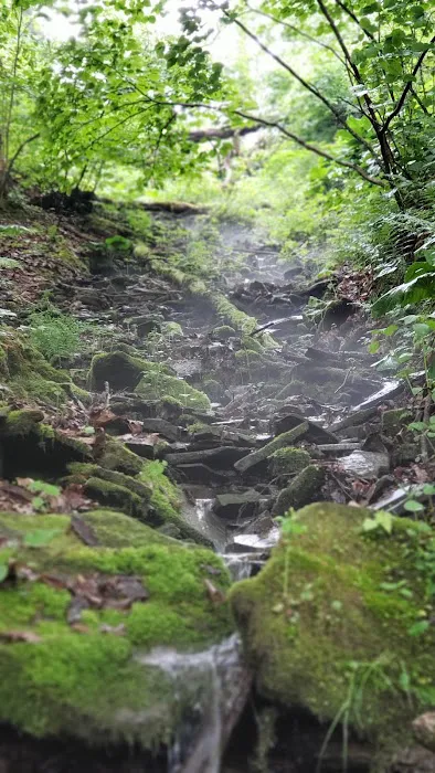 Outflow Recreation Area Campground Picture 2