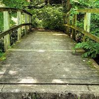 Tionesta Recreation Area Campground ico