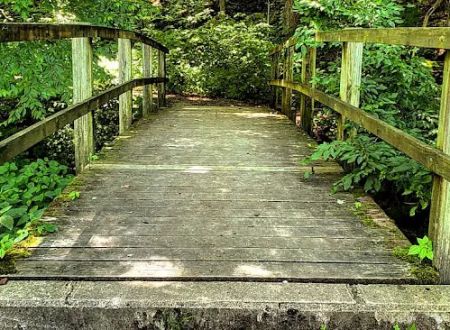 Tionesta Recreation Area Campground