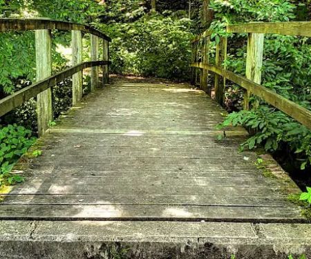 Tionesta Recreation Area Campground