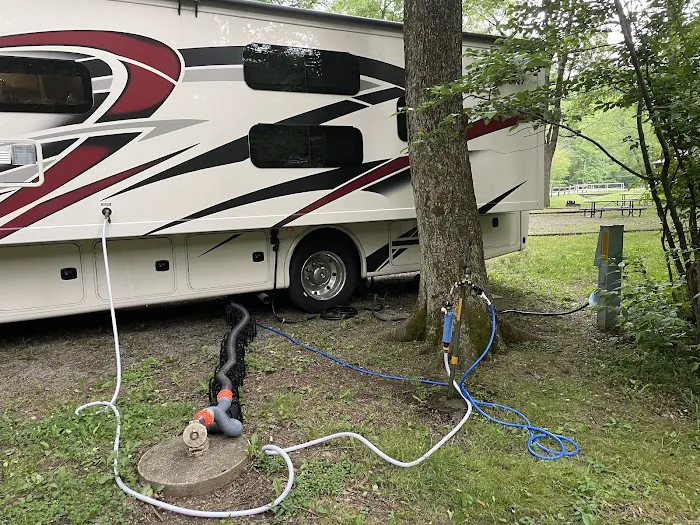 Tionesta Recreation Area Campground Picture 6