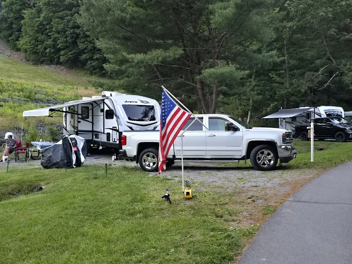 Tionesta Recreation Area Campground Picture 5