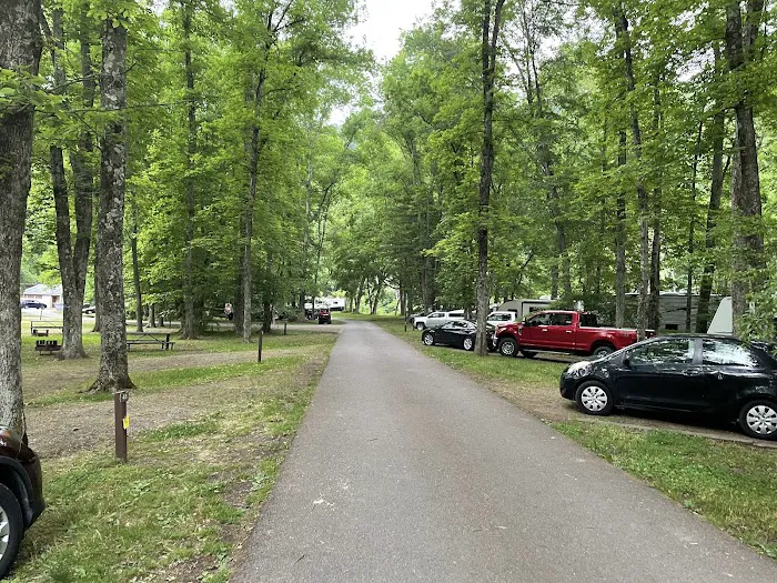Tionesta Recreation Area Campground Picture 4
