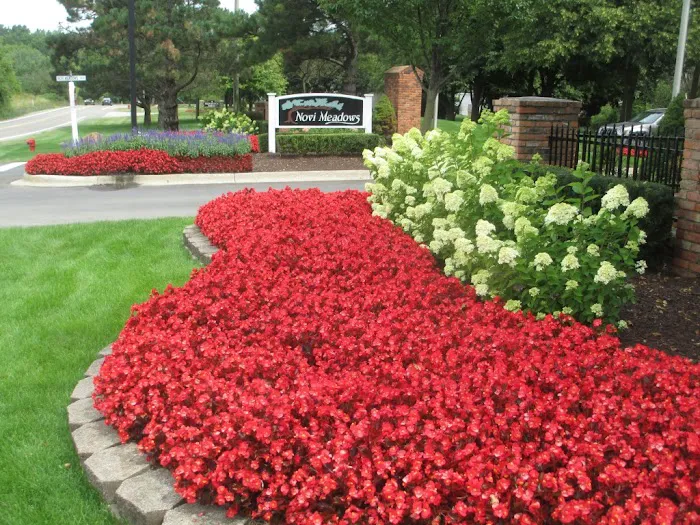 Novi Meadows Picture 10
