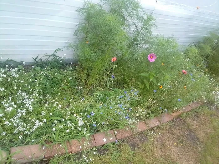Old Orchard Mobile Home Park Picture 6