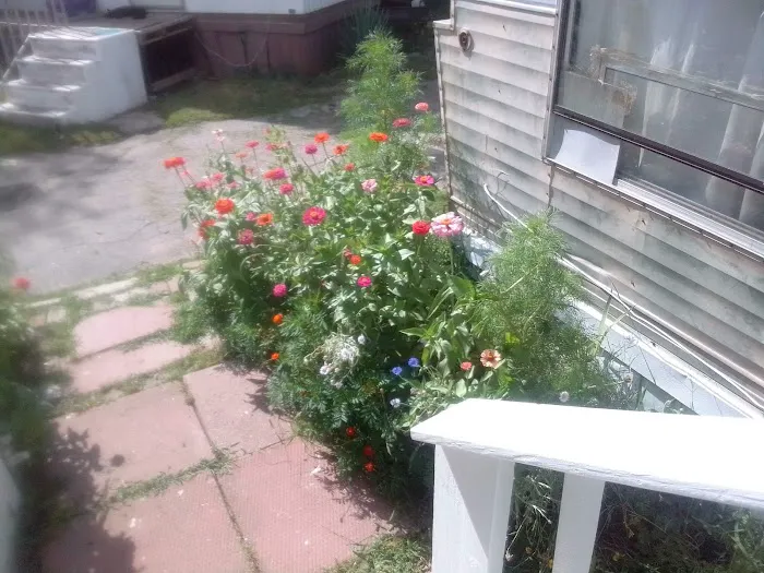 Old Orchard Mobile Home Park Picture 9