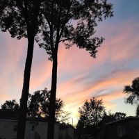 Westland Meadows ico