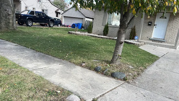 Westland Meadows Picture 6