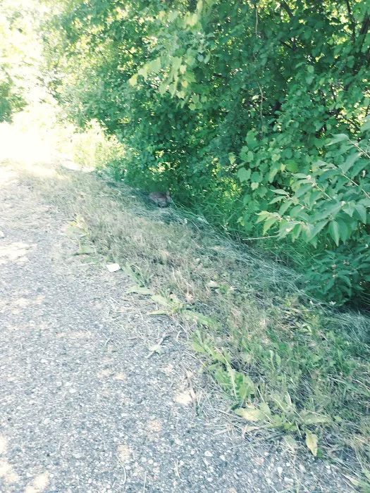 Riverview Trailer Park Picture 8