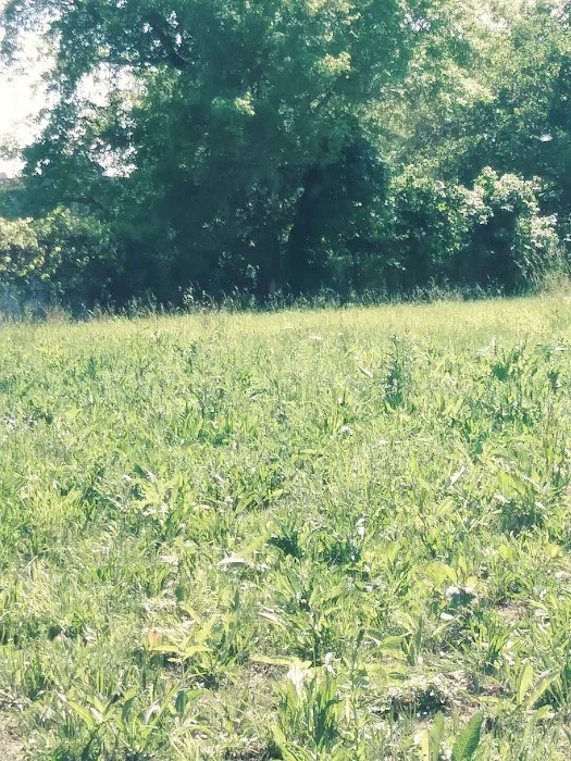 Riverview Trailer Park Picture 10