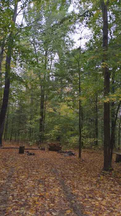 NYS DEC Designated Campsite Picture 1