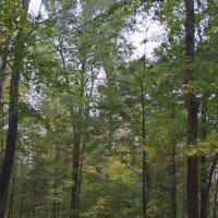 NYS DEC Designated Campsite ico