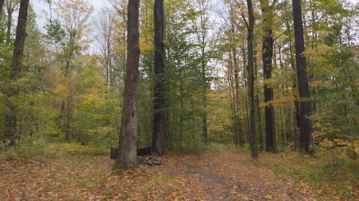 NYS DEC Designated Campsite Picture 2