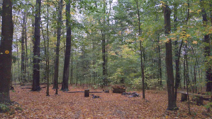 NYS DEC Designated Campsite Picture 3