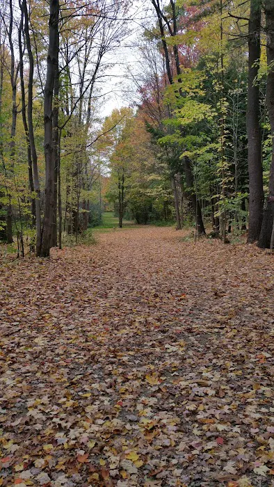 Wildwood Acres Campground Picture 4