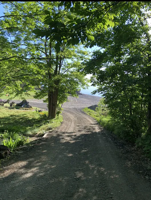 DJ's Campground Picture 10