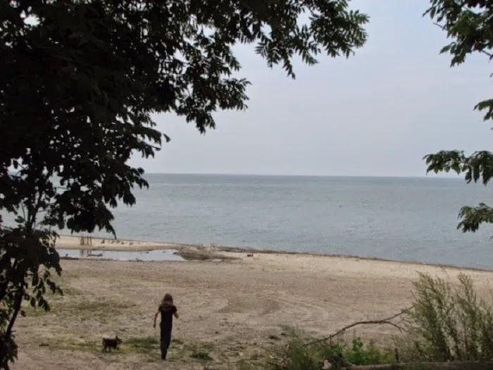 DJ's Campground Picture 7