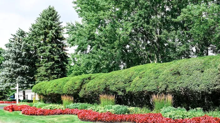 Highland Hills Picture 9