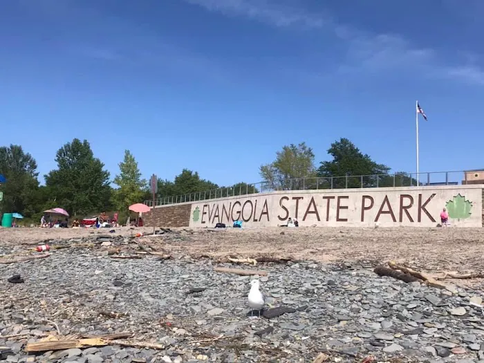Evangola State Park Campground Picture 6