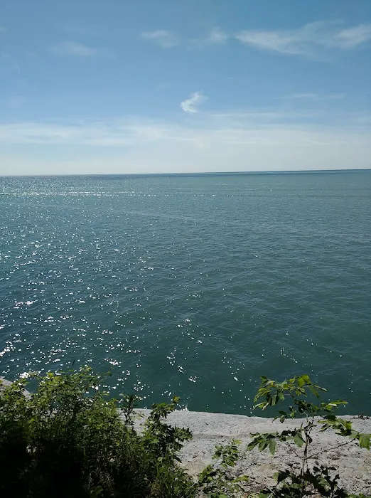 Evangola State Park Campground Picture 9