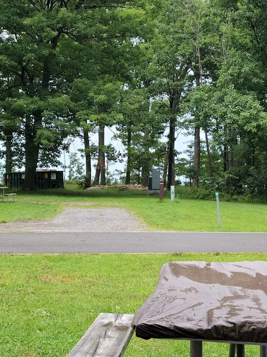 Evangola State Park Campground Picture 7