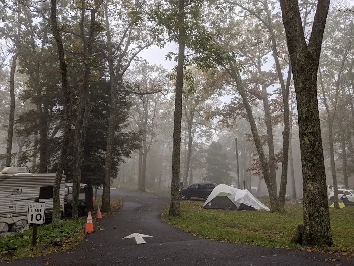 Lewis Mountain Campground Picture 7