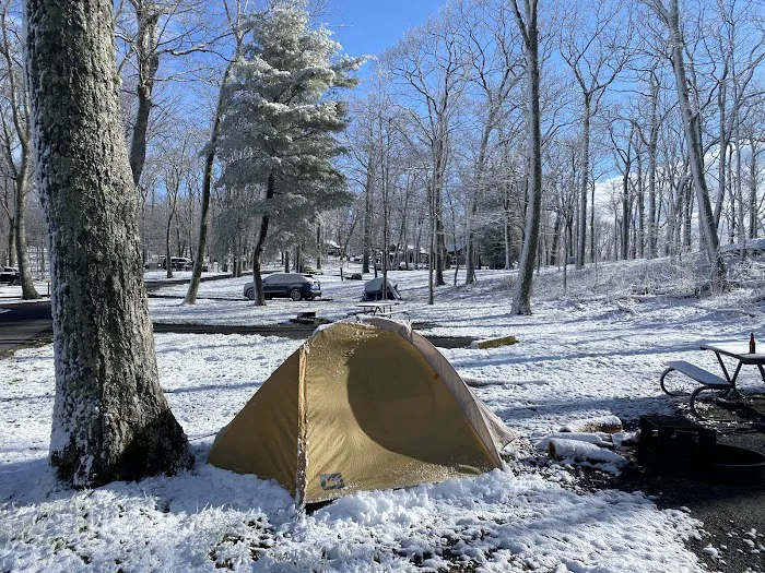 Lewis Mountain Campground Picture 8