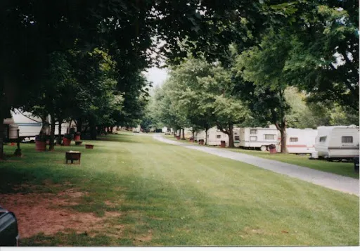 Riverside camping Picture 2