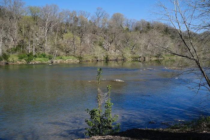 Riverside camping Picture 4