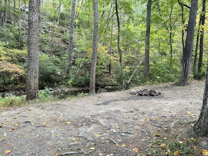 Raccoon Canyon Picture 2
