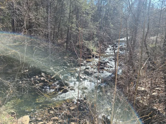 Raccoon Canyon Picture 1