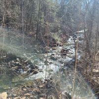 Raccoon Canyon ico