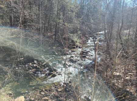 Raccoon Canyon