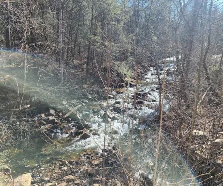 Raccoon Canyon