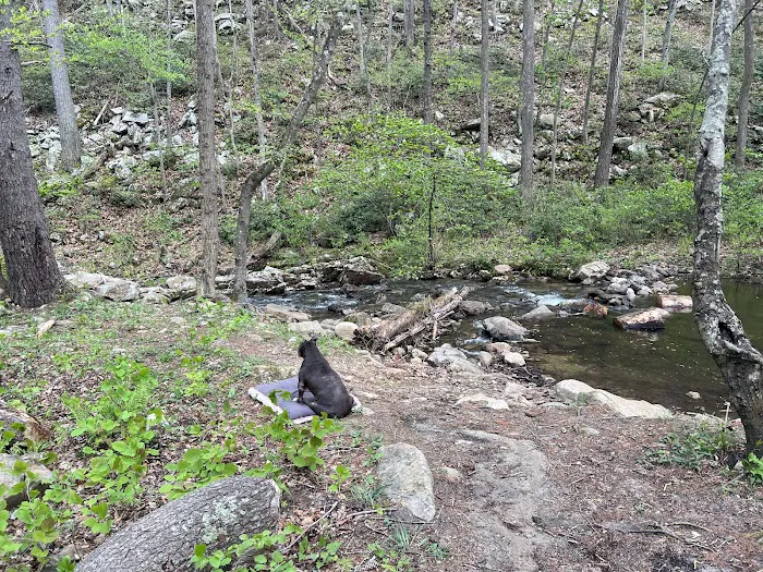 Two Hatchets Camp Site Picture 3