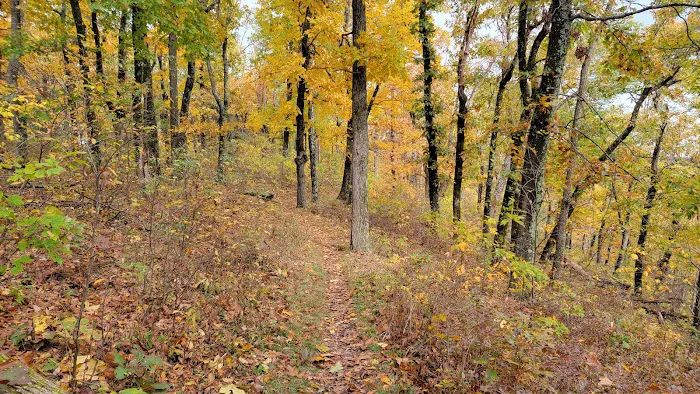 Dundo Group Campground Picture 1
