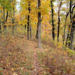 Dundo Group Campground