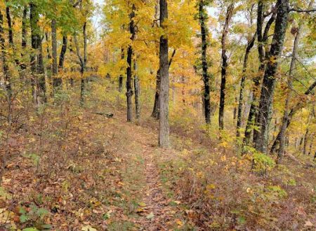 Dundo Group Campground